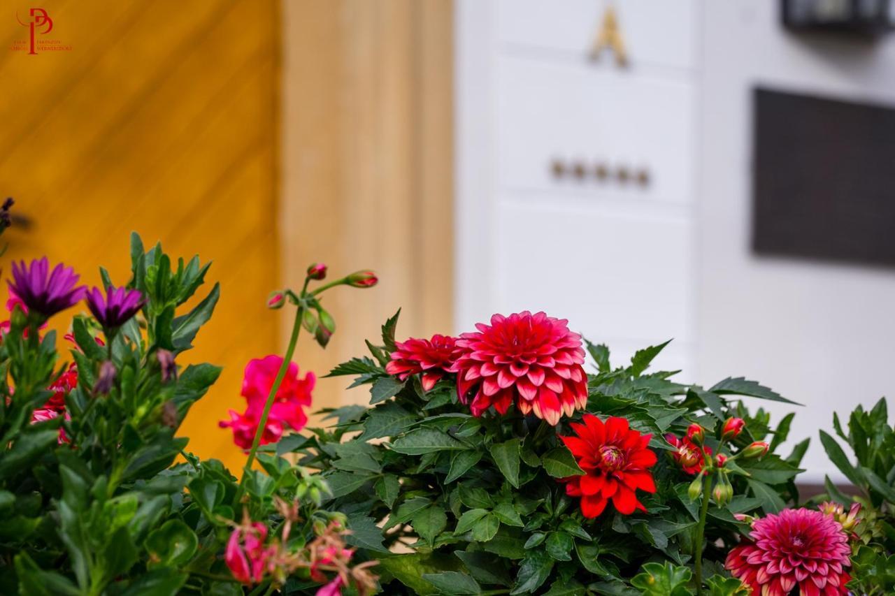 Palac Pakoszow Schlosshotel Wernersdorf 옐레니아구라 외부 사진 Dahlia 'Red Charm'